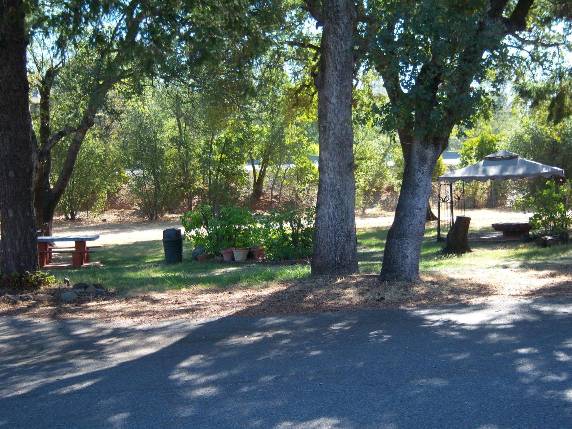 Shasta Dam Motel シャスタ・レイク エクステリア 写真